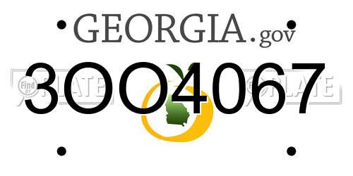 3OO4067 Georgia License Plate