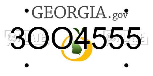 3OO4555 Georgia License Plate