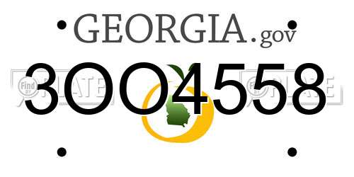 3OO4558 Georgia License Plate