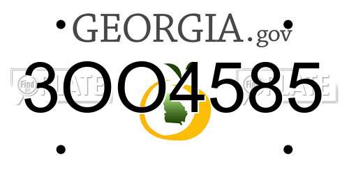 3OO4585 Georgia License Plate