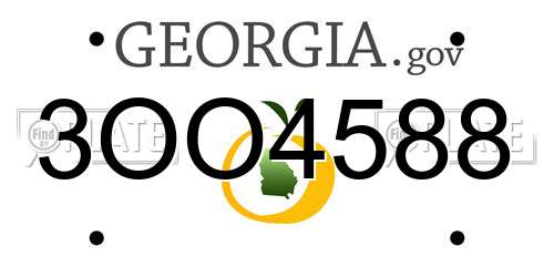 3OO4588 Georgia License Plate