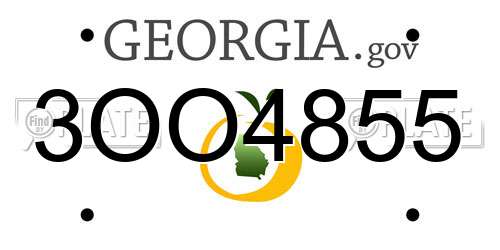 3OO4855 Georgia License Plate