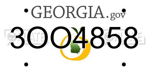 3OO4858 Georgia License Plate