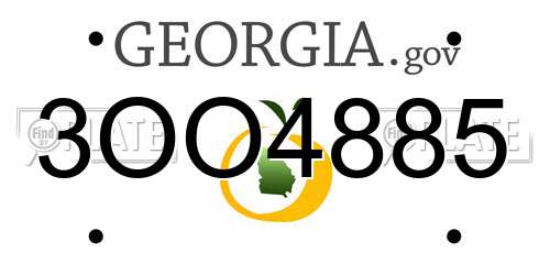 3OO4885 Georgia License Plate