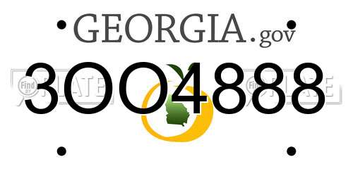 3OO4888 Georgia License Plate