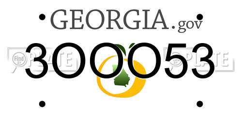 3OOO53 Georgia License Plate