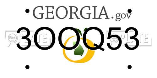 3OOQ53 Georgia License Plate