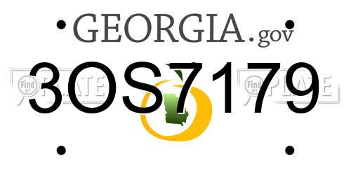 3OS7179 Georgia License Plate