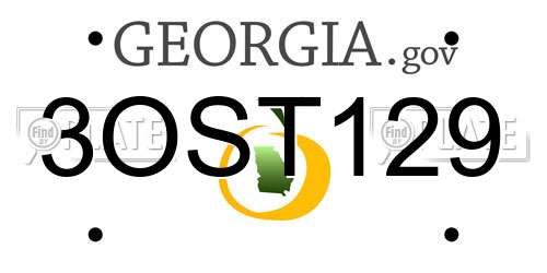 3OST129 Georgia License Plate