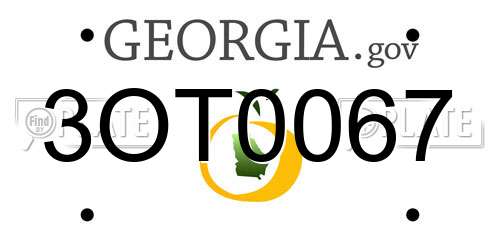 3OT0067 Georgia License Plate