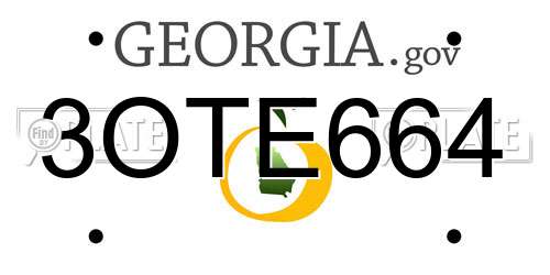 3OTE664 Georgia License Plate