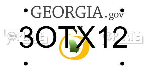3OTX12 Georgia License Plate