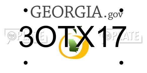 3OTX17 Georgia License Plate