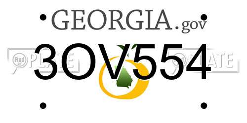 3OV554 Georgia License Plate