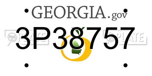 3P38757 Georgia License Plate