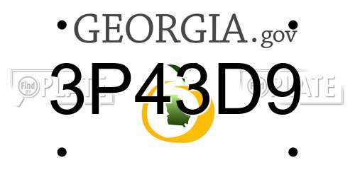 3P43D9 Georgia License Plate