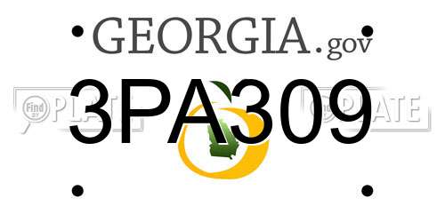 3PA309 Georgia License Plate