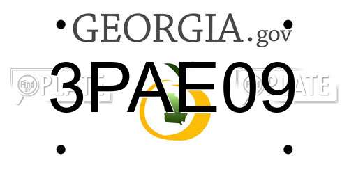 3PAE09 Georgia License Plate