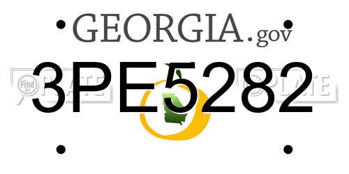 3PE5282 Georgia License Plate