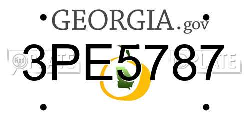 3PE5787 Georgia License Plate