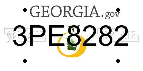 3PE8282 Georgia License Plate