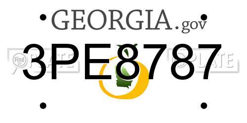 3PE8787 Georgia License Plate