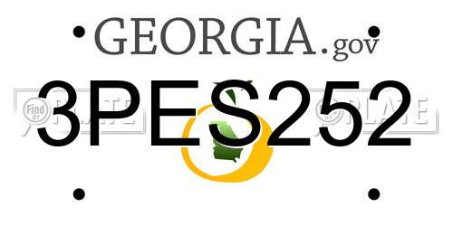 3PES252 Georgia License Plate