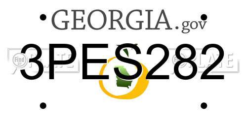 3PES282 Georgia License Plate