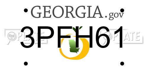 3PFH61 Georgia License Plate