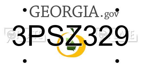 3PSZ329 Georgia License Plate