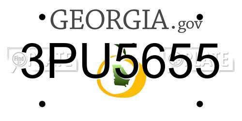3PU5655 Georgia License Plate