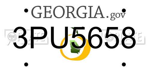 3PU5658 Georgia License Plate