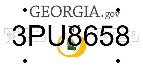 3PU8658 Georgia License Plate