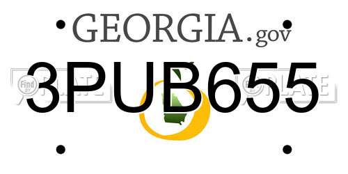3PUB655 Georgia License Plate