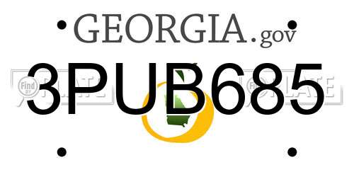 3PUB685 Georgia License Plate