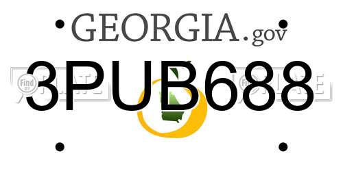 3PUB688 Georgia License Plate