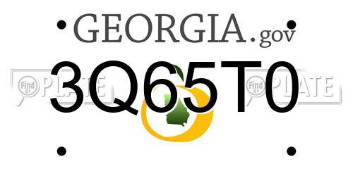 3Q65T0 Georgia License Plate