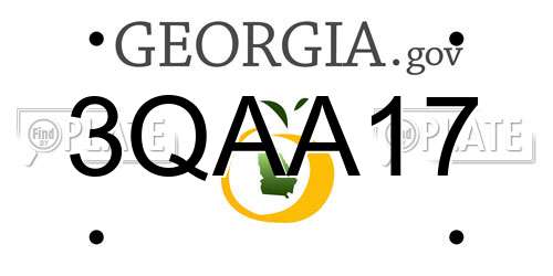 3QAA17 Georgia License Plate