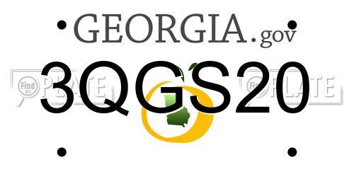 3QGS20 Georgia License Plate