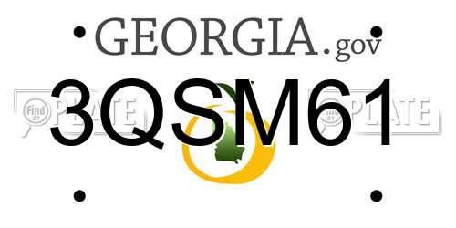 3QSM61 Georgia License Plate