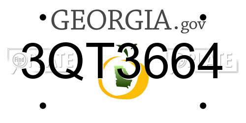 3QT3664 Georgia License Plate