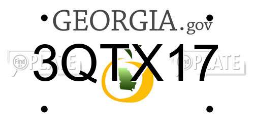 3QTX17 Georgia License Plate