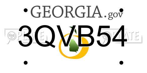 3QVB54 Georgia License Plate