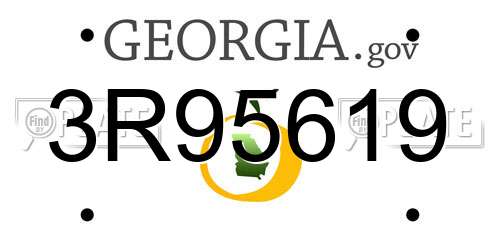 3R95619 Georgia License Plate