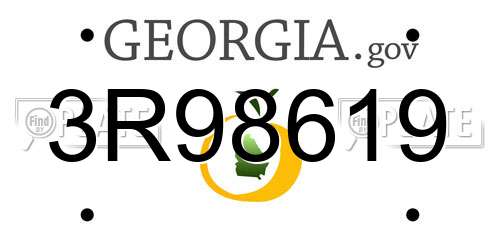 3R98619 Georgia License Plate