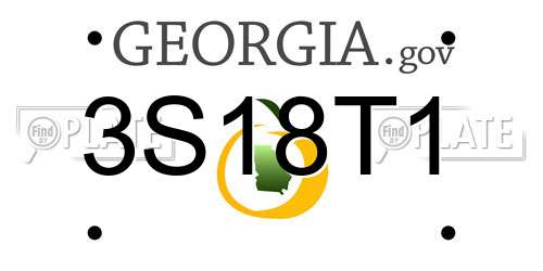 3S18T1 Georgia License Plate