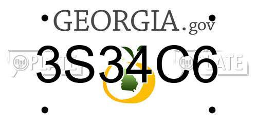 3S34C6 Georgia License Plate