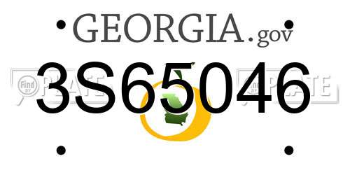 3S65046 Georgia License Plate