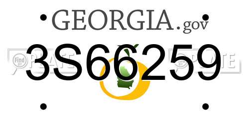 3S66259 Georgia License Plate