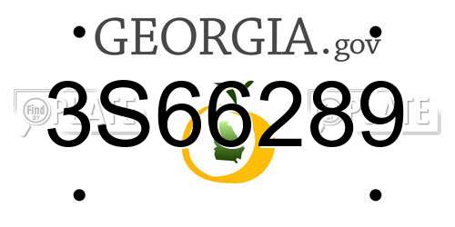3S66289 Georgia License Plate